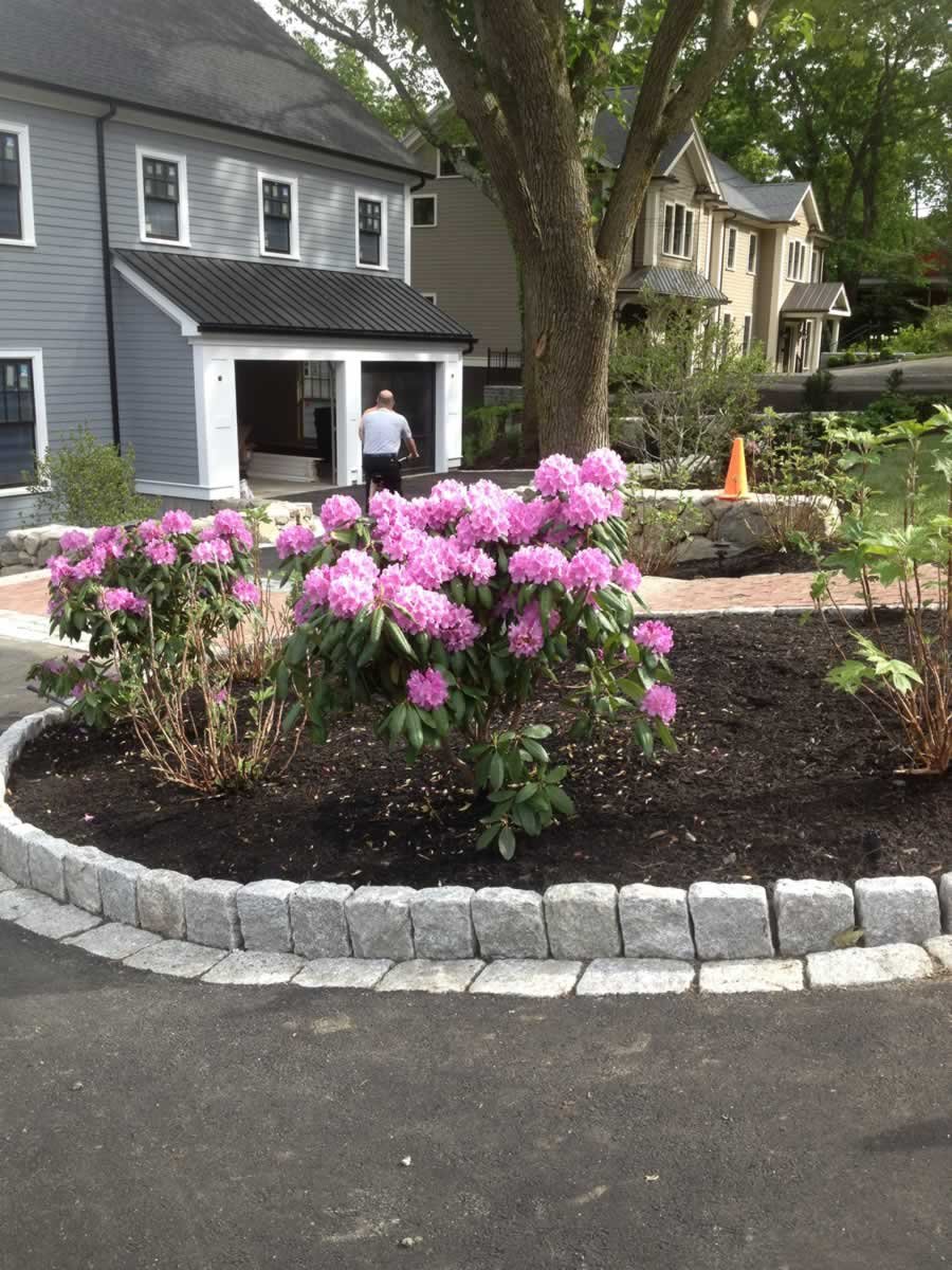 yard works - landscaping portfolio